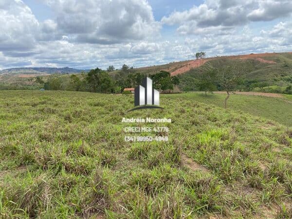 Fazenda 21 Hectares