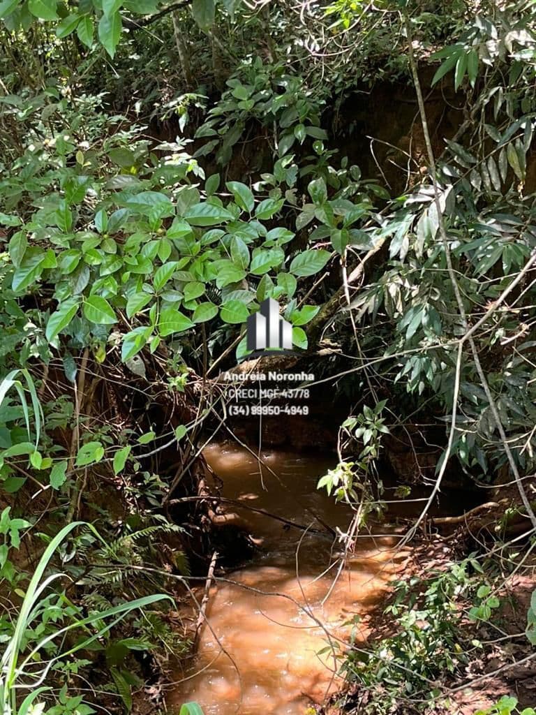 🌴 CHÁCARA DE 7.500 METROS À VENDA EM À PATOS DE MINAS 🌴