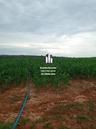 Fazenda 70 Hectares em JK (Luizlândia do Oeste)