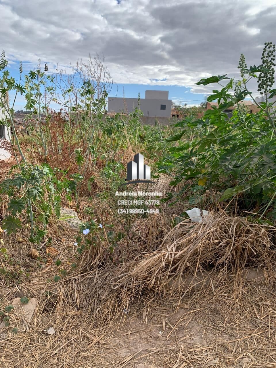 Lote 231 m² bairro Parque do Sabiá