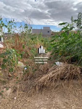 Lote 231 m² bairro Parque do Sabiá