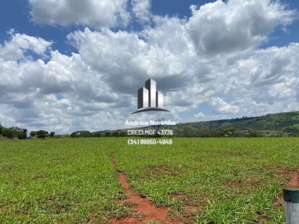 Fazenda 28 hectares às margens da BR 354