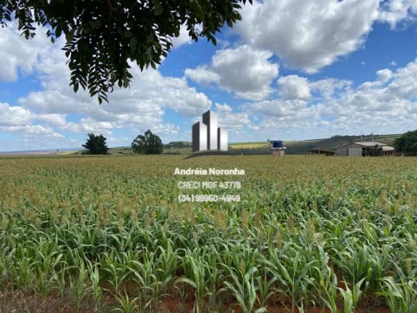 Fazenda 36 hectares em Santana de Patos