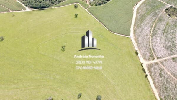 Fazenda 150 Alqueires em Uberaba/MG
