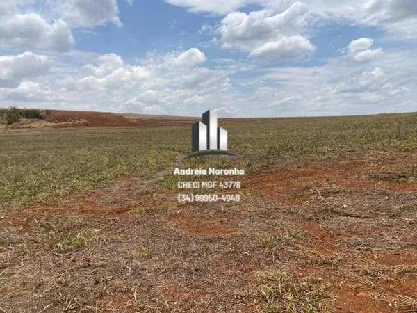 🌳🌴 FAZENDA DE 90 HECTARES EM PATOS DE MINAS 🌳🌴