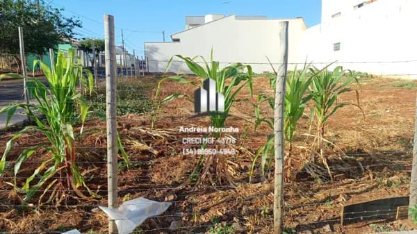 Lote de Esquina Bairro Jardim Califórnia