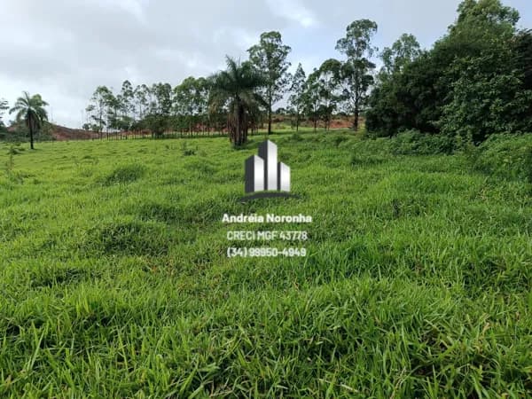 Fazenda 29 hectares em Lagoa Formosa/MG