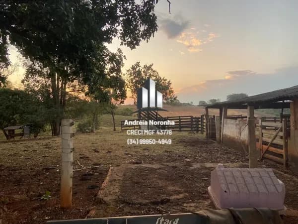 🌴✳️ FAZENDA DE 36 HECTARES PRÓXIMO À PATOS DE MINAS 🌴✳️