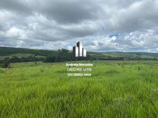 Fazenda 900 Hectares