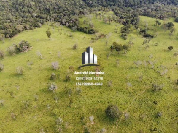 Fazenda 303 Hectares em Presidente Olegário/MG