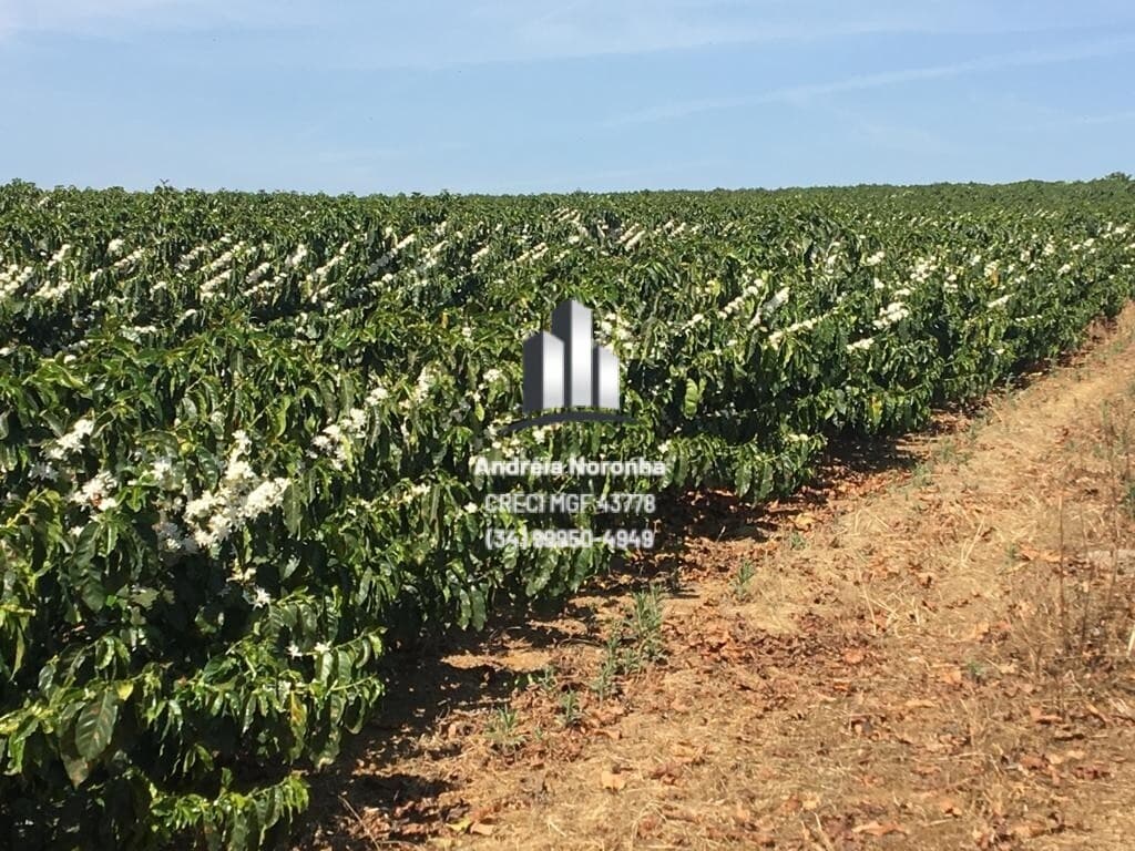 Fazenda de Café em Patrocínio/MG