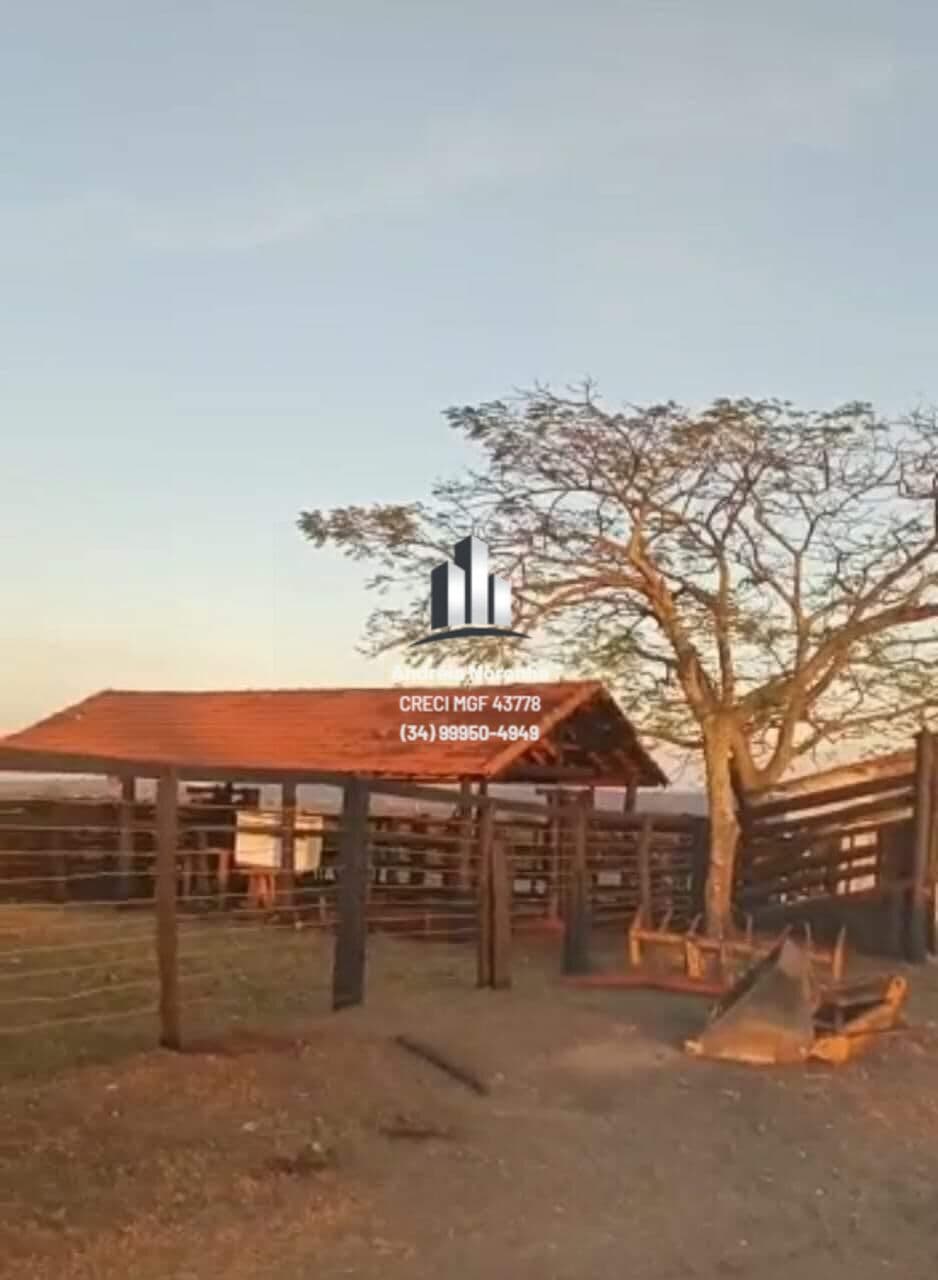 Fazenda 71 alqueires em Campina Verde/MG