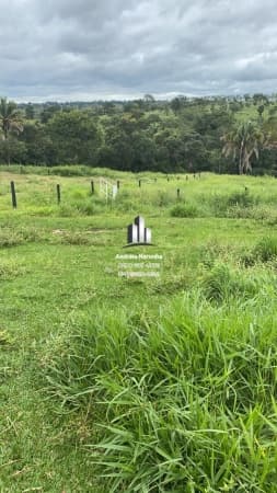 Fazenda na região de São Pedro da Ponte Firme