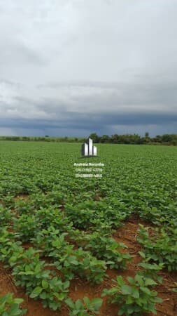 Fazenda para Lavoura