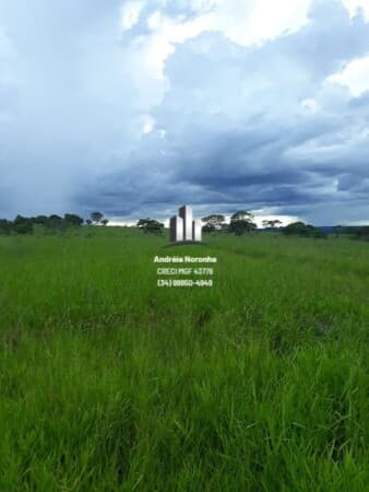 FAZENDA A VENDA / GURINHATÃ MG