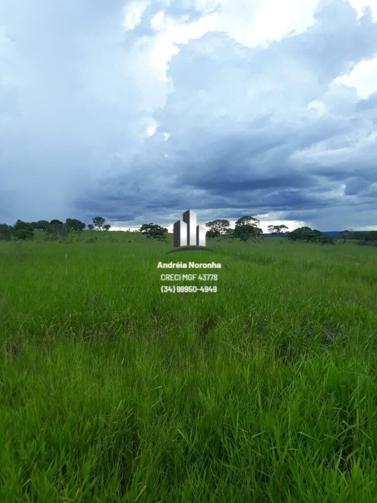 FAZENDA A VENDA / GURINHATÃ MG