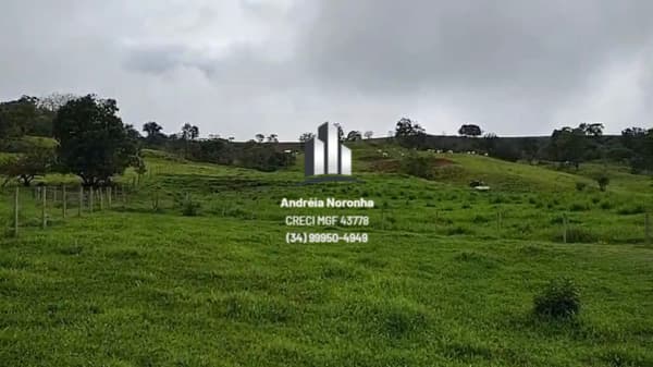 Fazenda 43 Hectares na Mata dos Fernandes