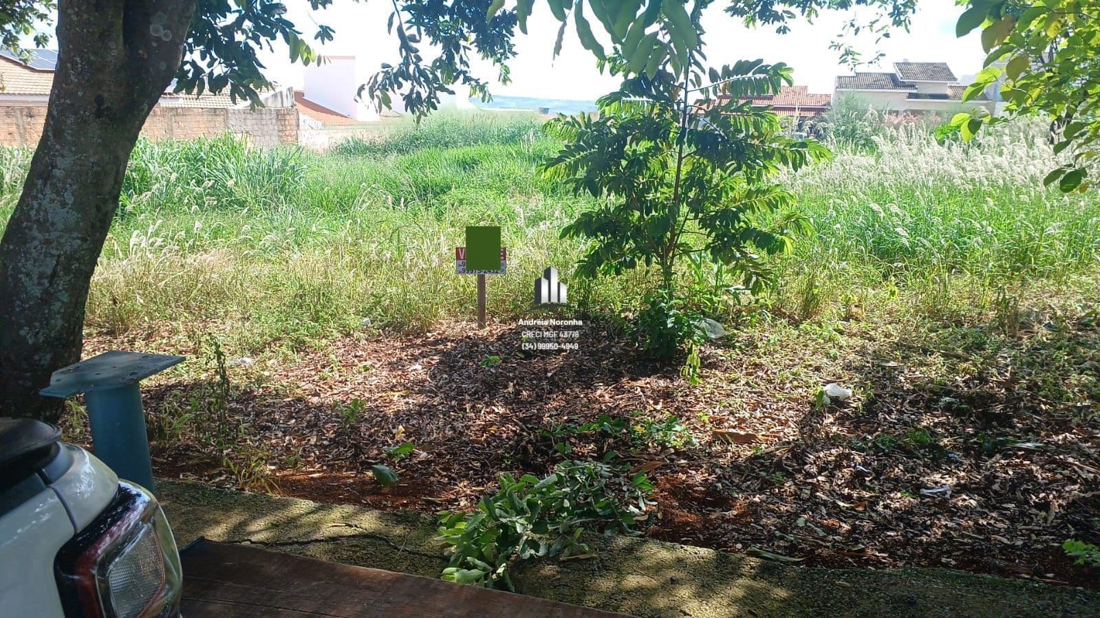 Lote 275 m² Bairro Nova Floresta