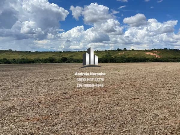 Linda Fazenda 220 hectares às margens da rodovia - Patos de Minas/MG