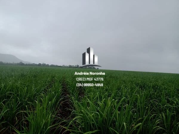 Fazenda em João Pinheiro/MG