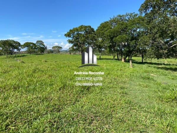 Fazenda 52 Hectares em Presidente Olegário/MG