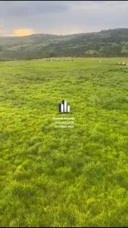 Fazenda 30 Hectares em Presidente Olegário/MG