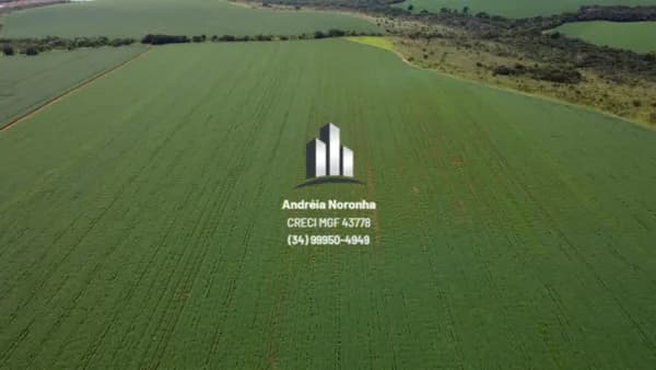 Fazenda 252 hectares em Paracatu/MG