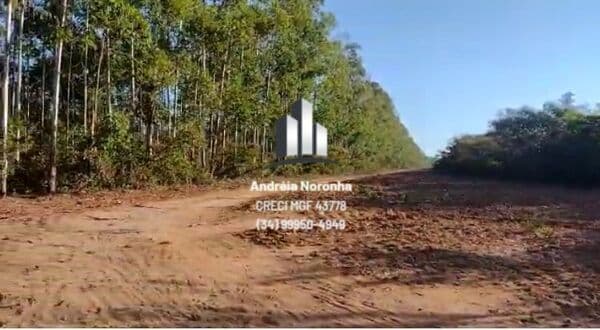 Fazenda no Norte de Minas