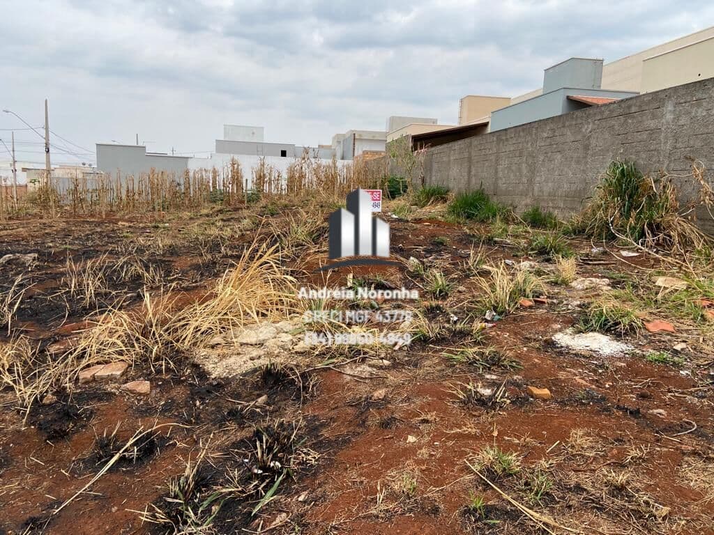 Lote Comercial em Avenida