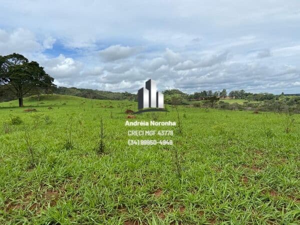 Fazenda 52 Hectares
