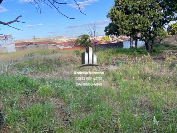Terreno 1600 m² no Bairro Bela Vista