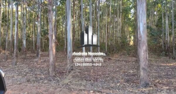 Fazenda 3.200 Hectares em Montes Claros/MG