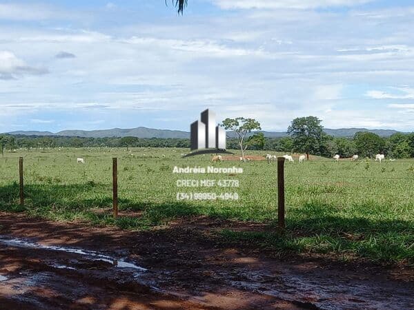 Fazenda 1.235 hectares - Dupla Aptidão - Unaí /MG
