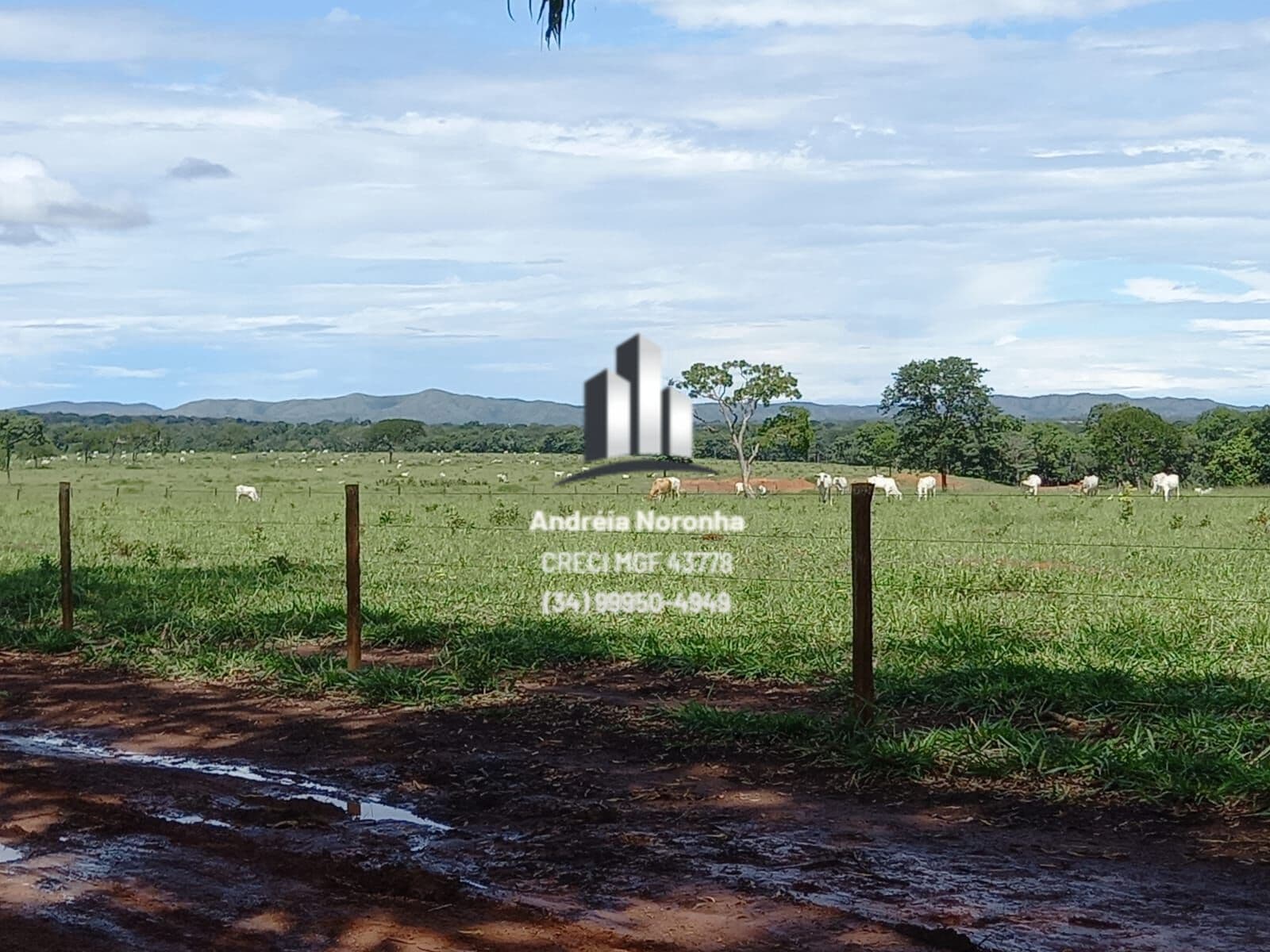 Fazenda 1.235 hectares - Dupla Aptidão - Unaí /MG