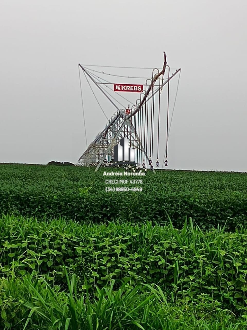 Fazenda 259,55 Hectares com pivô em Buritis/MG