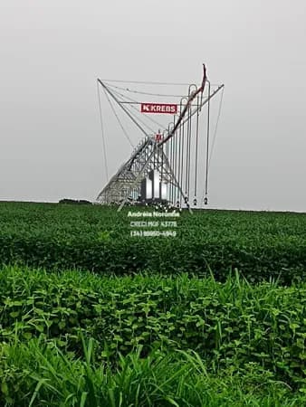 Fazenda 259,55 Hectares com pivô em Buritis/MG