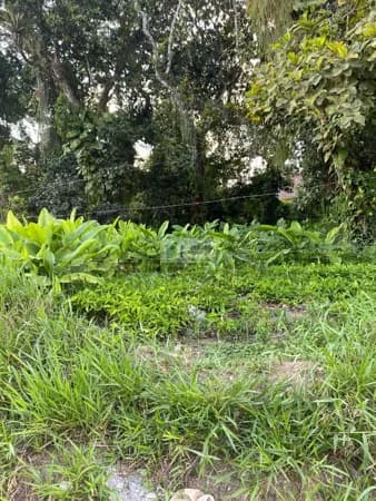 Lote 22,23 24,e,25 da quadra 30 de esquina com av araça