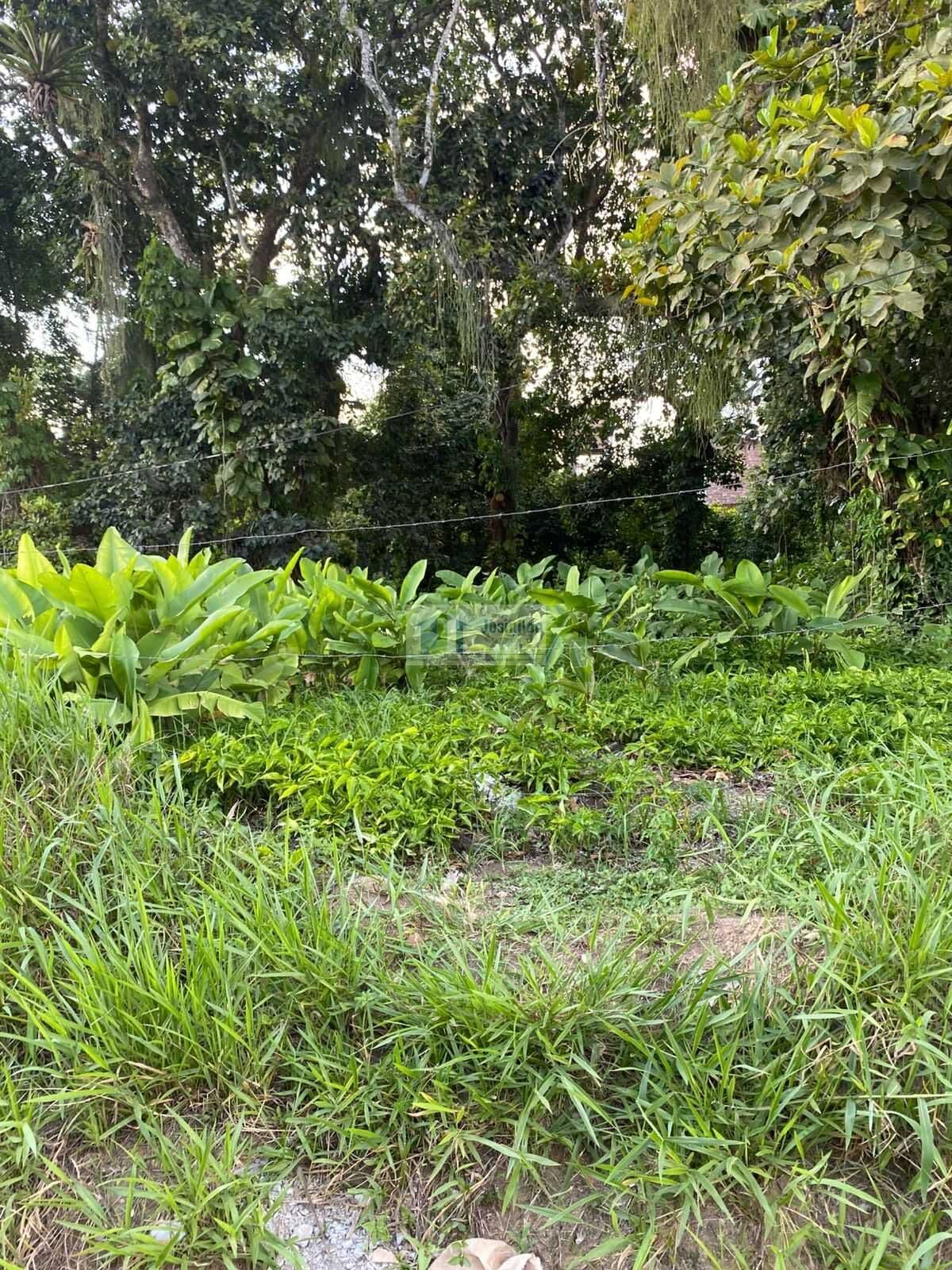 Lote 22,23 24,e,25 da quadra 30 de esquina com av araça