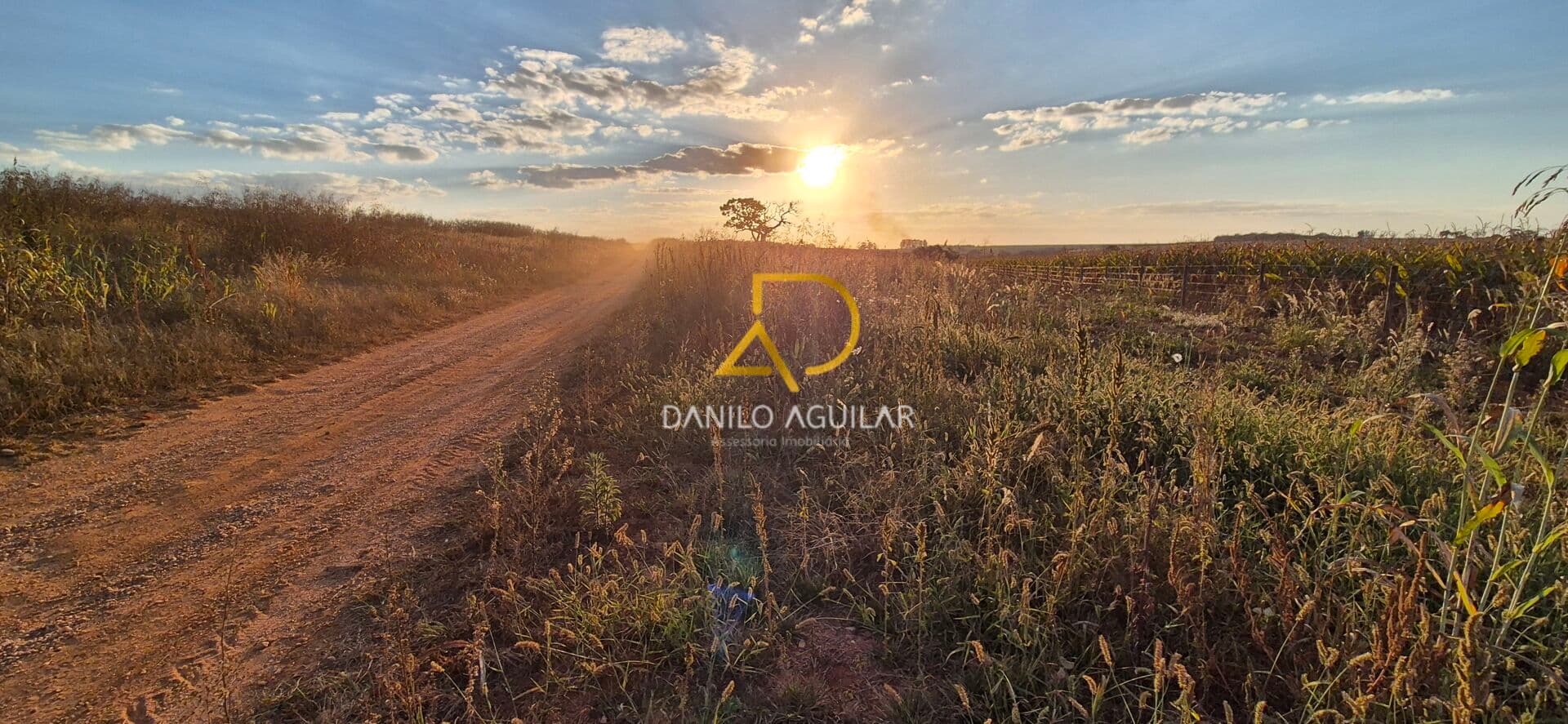FAZENDA PARA PLANTIO