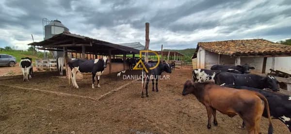 FAZENDA PARA PECUÁRIA