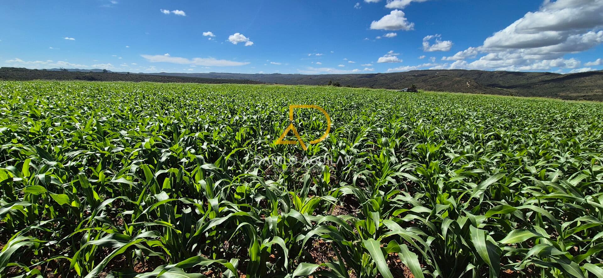 FAZENDA AO LADO DE PATROCINIO