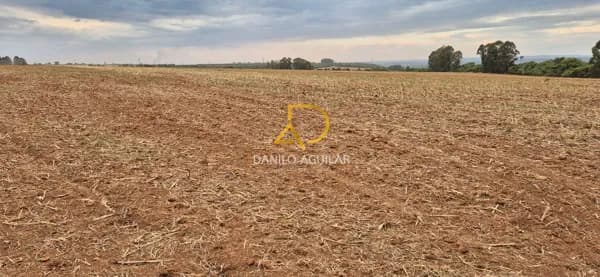 FAZENDA PARA PLANTIO