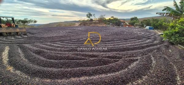 SÍTIO DE PRODUÇÃO DE CAFÉ