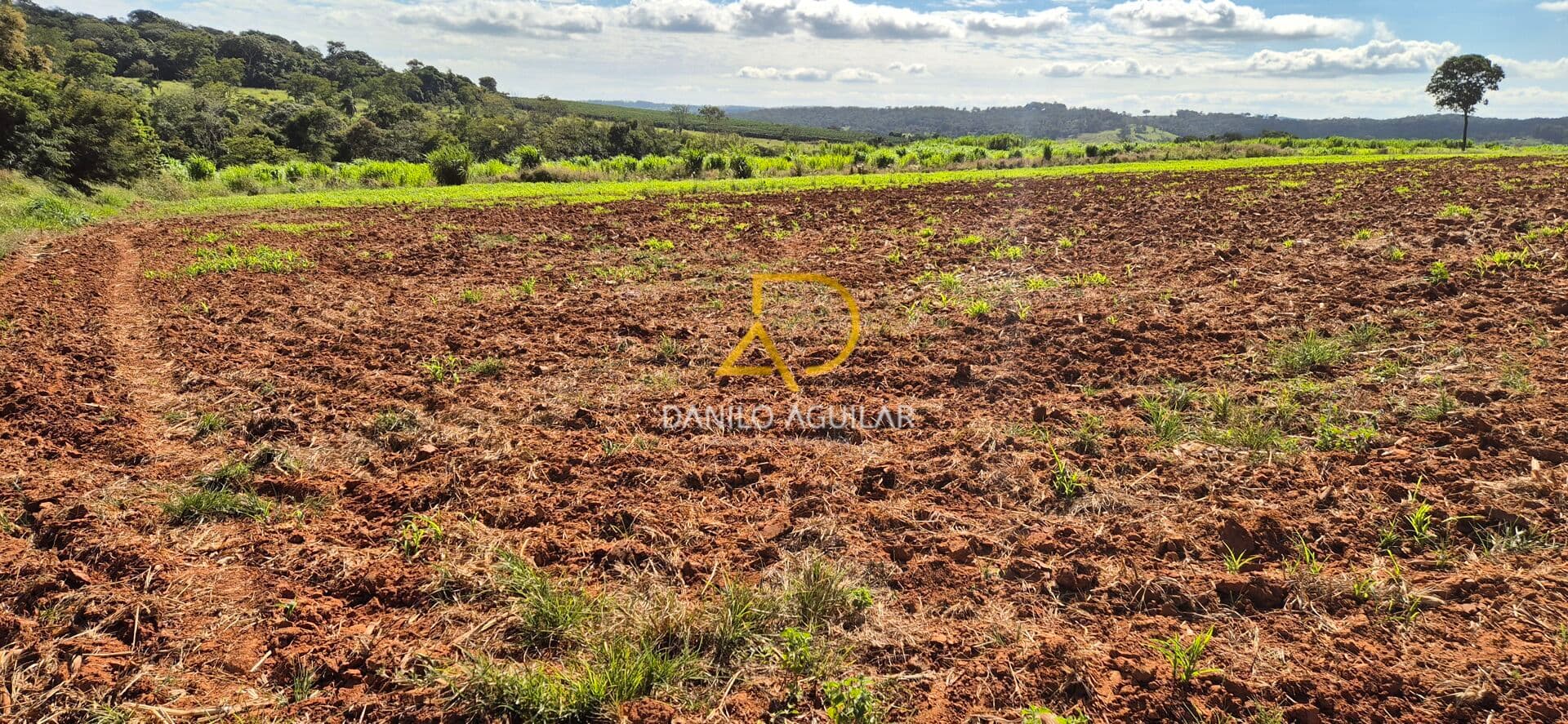 FAZENDA PARA PLANTIO