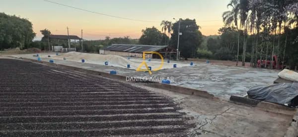 Fazenda/Sítios/Chácaras em Araguari - ZONA RURAL