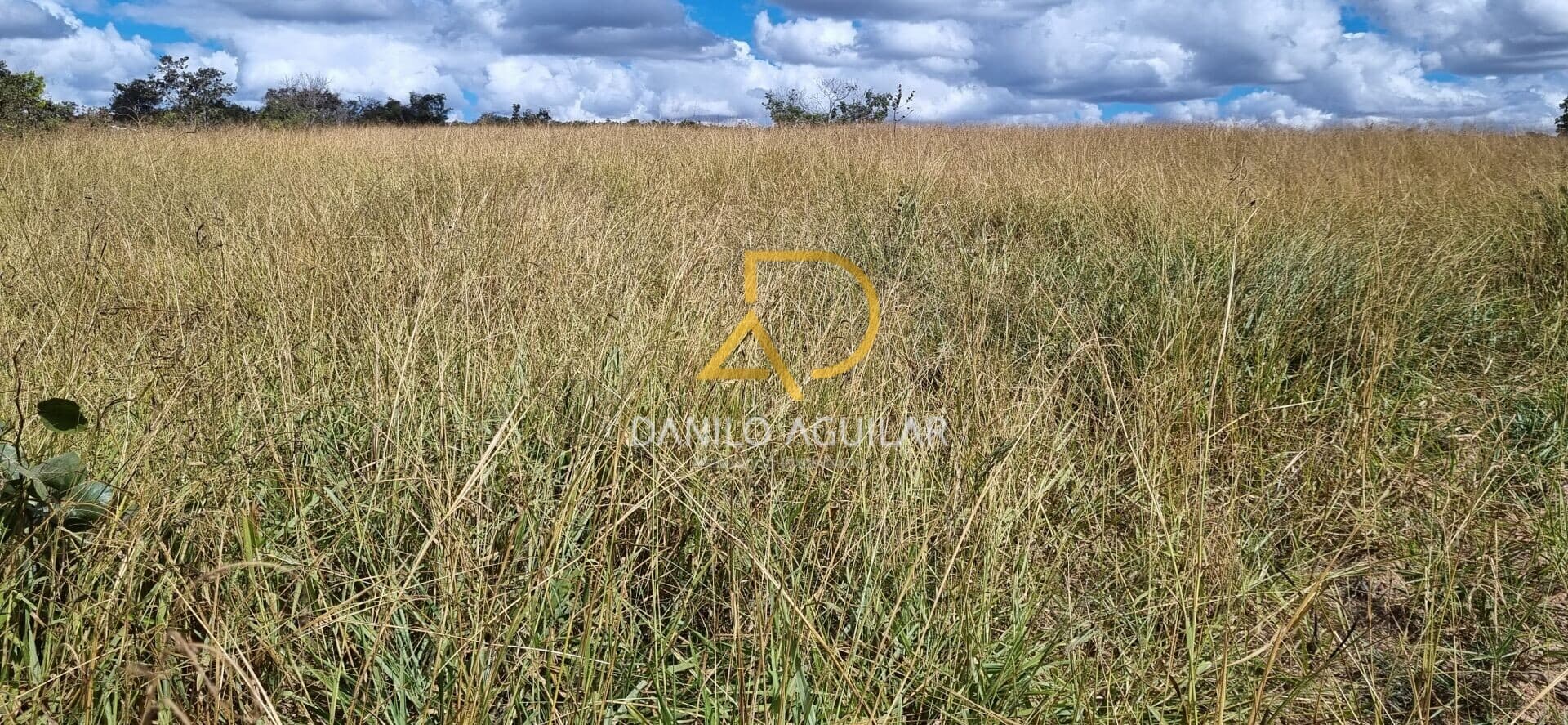 Fazenda/Sítios/Chácaras em Patrocínio - SILVANO