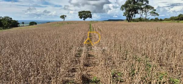 FAZENDA MISTA PARA LAVOURA E PECUÁRIA