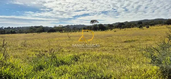 FAZENDA PARA PLANTIO AO LADO DA CIDADE
