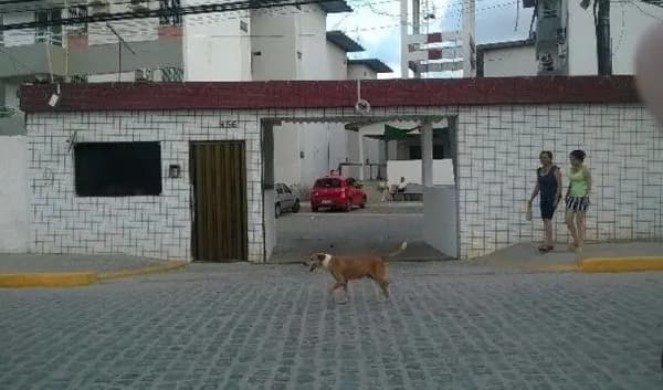 Apartamento em Jaboatão dos Guararapes - Candeias