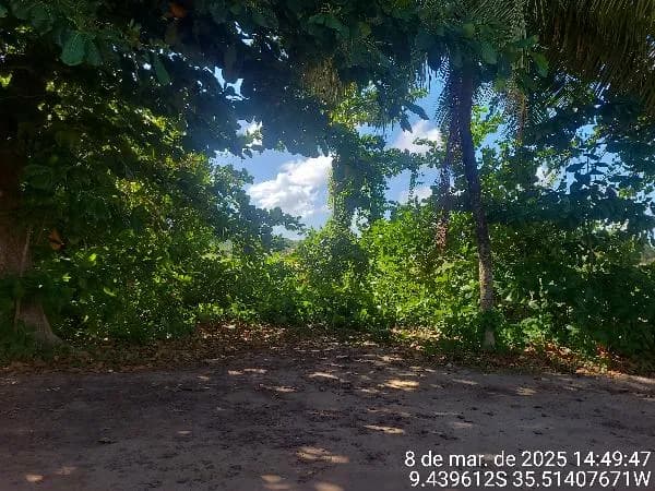TERRENO LOTE TABUBA SANTA LUZIA - BARRA SANTO ANTONIO